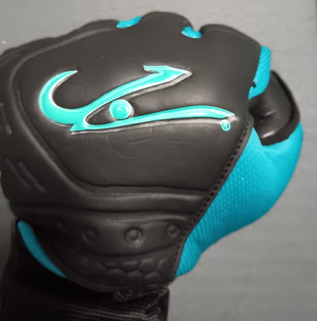 Light Blue and Black